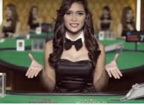 新普京com电脑免费版